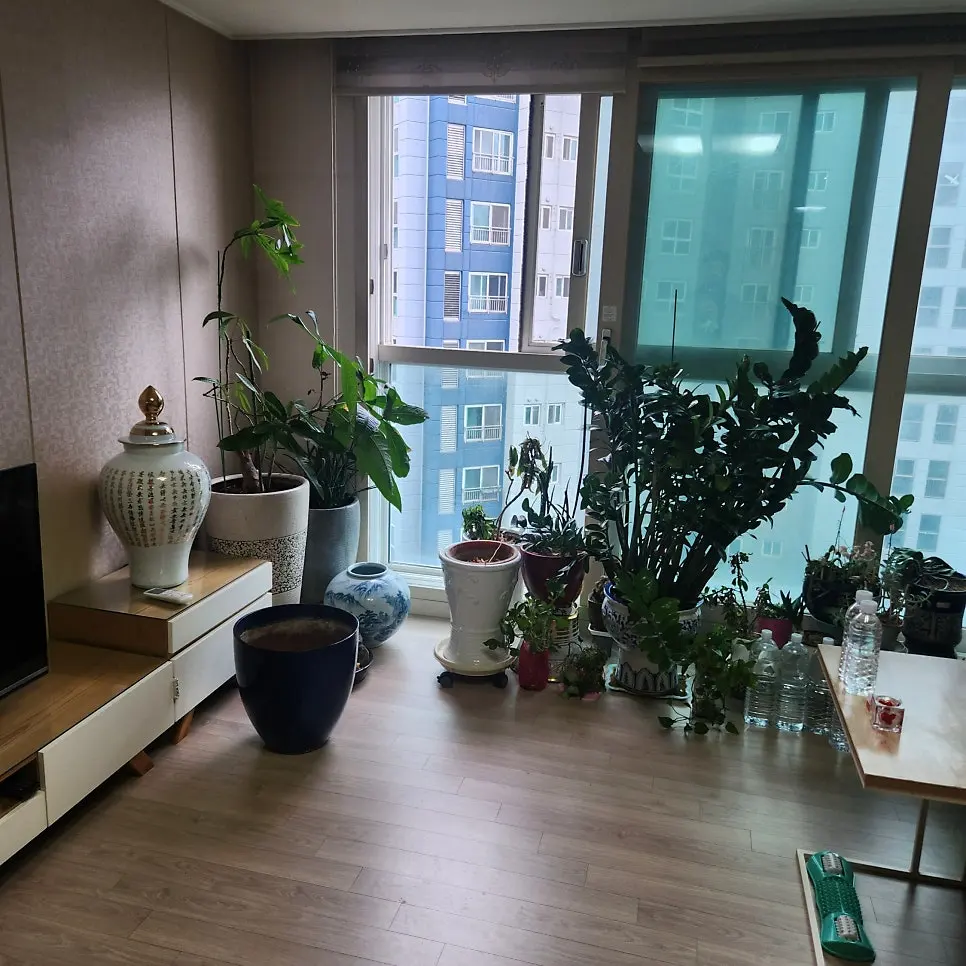 서울 강서구 마곡동 마곡앰밸리 15단지 아파트 9층 유품정리 빈집정리 가정집폐기물처리 현장 해결후기 사진 2