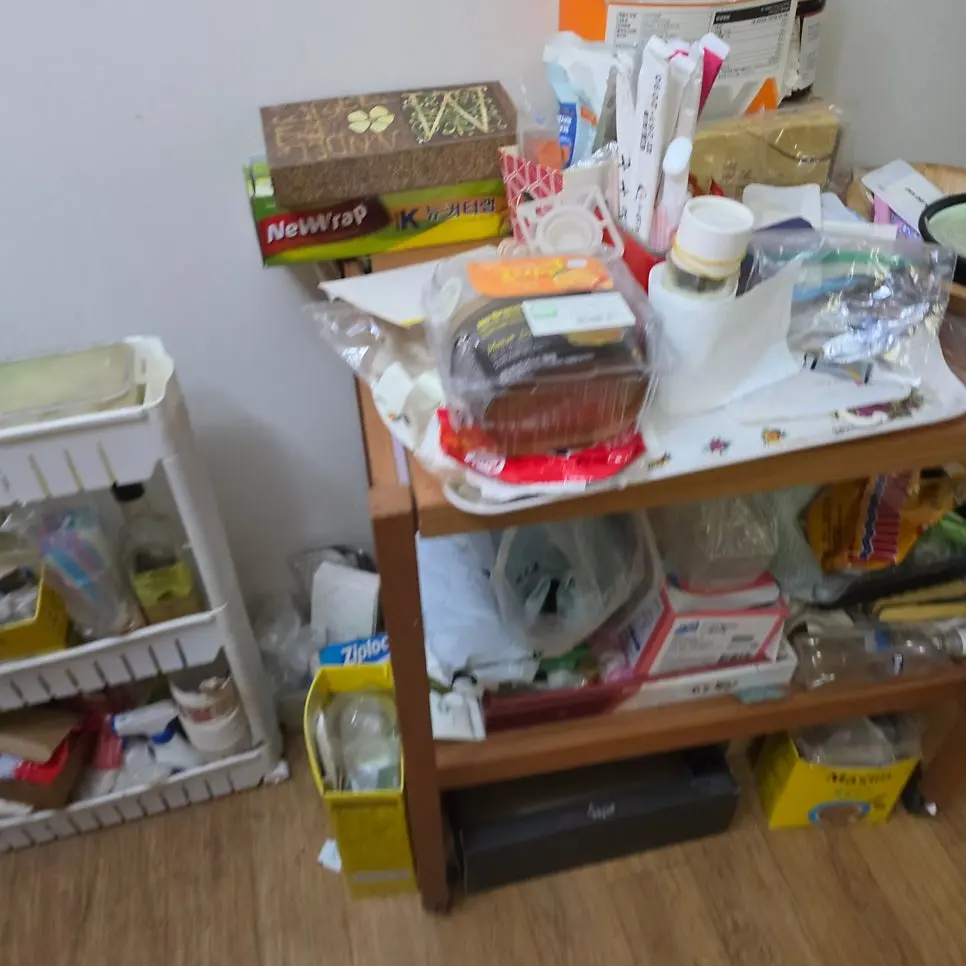 용인시 기흥구 마북동 아파트 1층 빈집정리 가정집폐기물처리 현장! 오래 비워두었던 아파트의 유품정리 현장! 사진 10